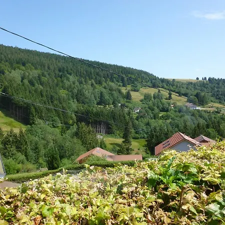 Mountain View Chalet In Near Ski Area Σαλέ